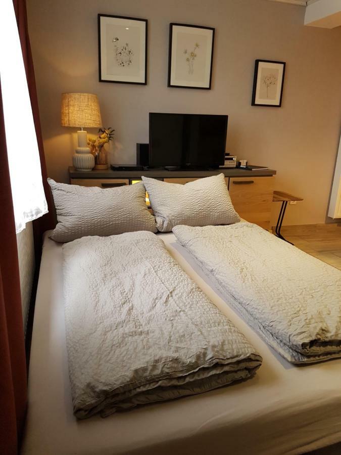 Oliver Apartment Fritzlar